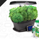 Image for article titled Grow Herbs and Vegetables Indoors With Discounted Miracle-Gro Aerogardens